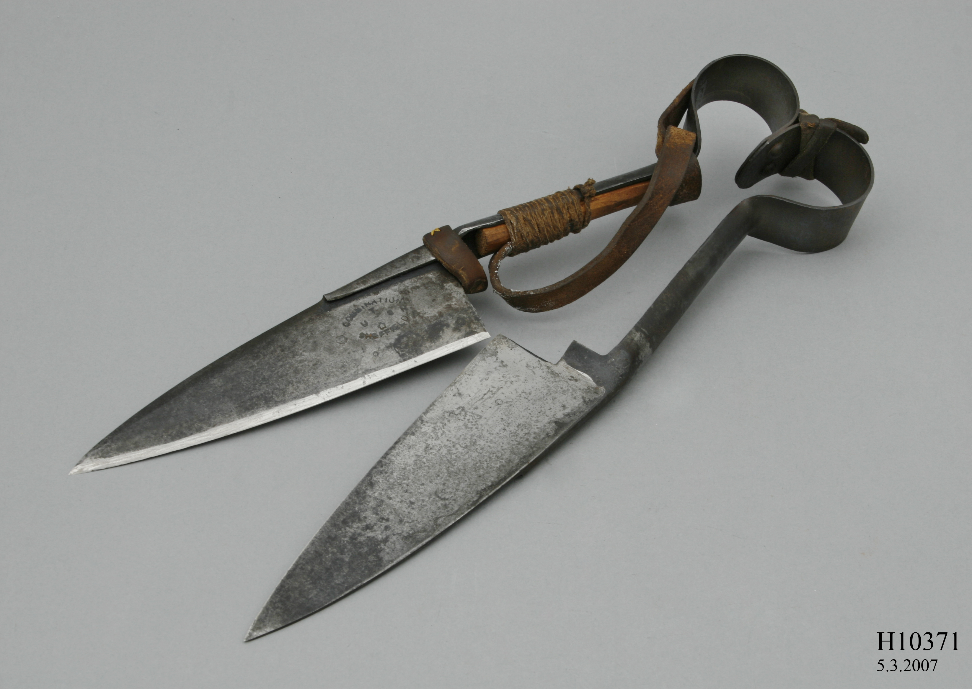 Sheep shears made from two sharp blades of metal joined by looped handles. There is also a leather strap attached to the left blade with twine. 